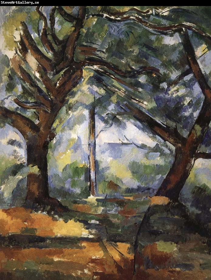 Paul Cezanne tree